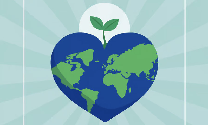 Our Brains and Environmental Decision Making