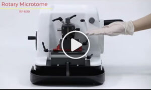 Microtomes in Action