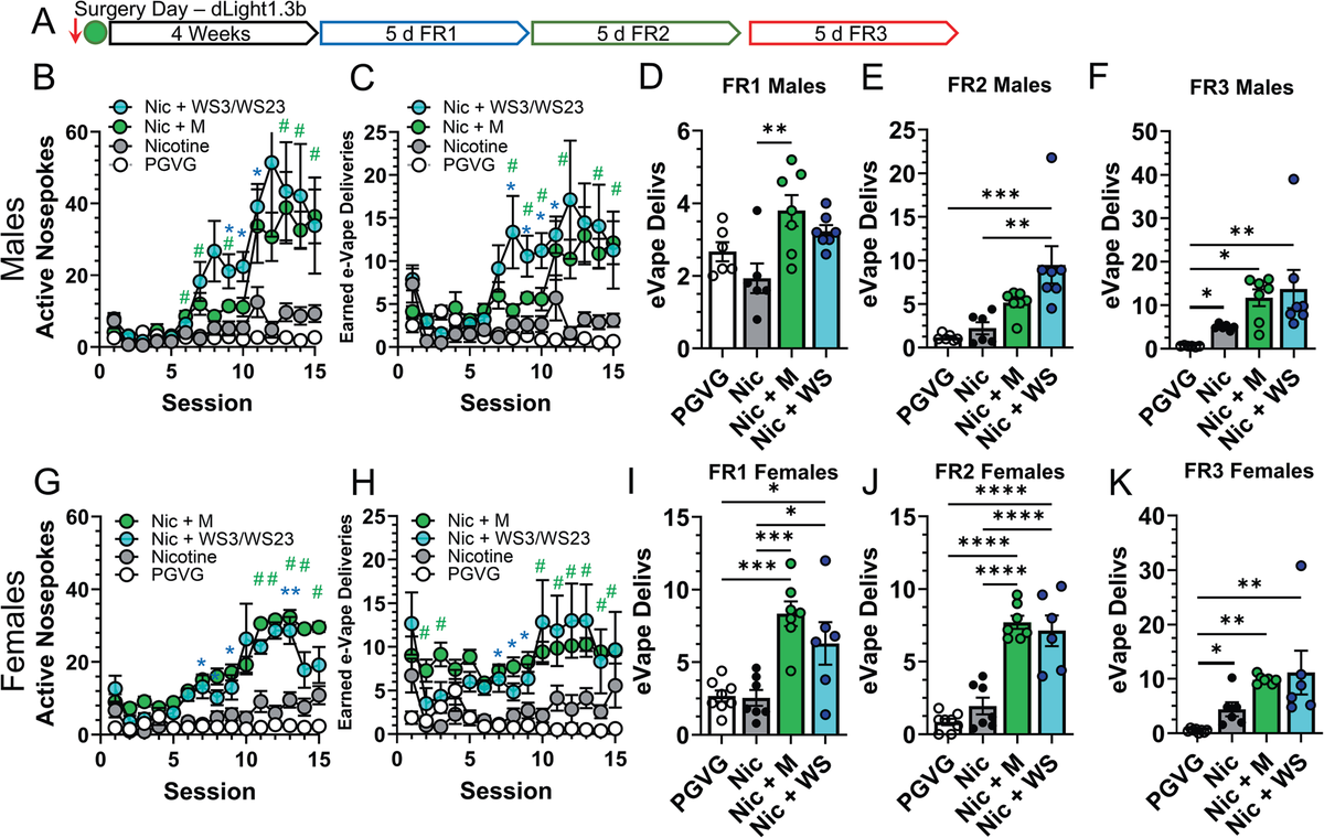 Figure 1. Mice self-administered more nicotine vapor when synthetic cooling agents (WS-3/WS-23) or menthol were added, taking more active nosepokes and earning more vapor deliveries than with nicotine alone—an effect seen in both male and female mice.